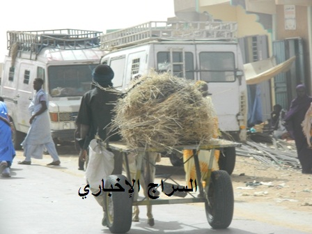 المواطنون مضطرون لشراء ما توفر من الحشيش على قلته (تصوير السراج)